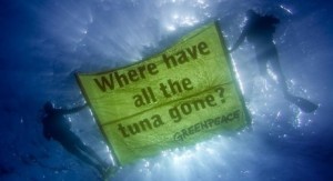 greenpeace-tuna-banner-John-West-460x250